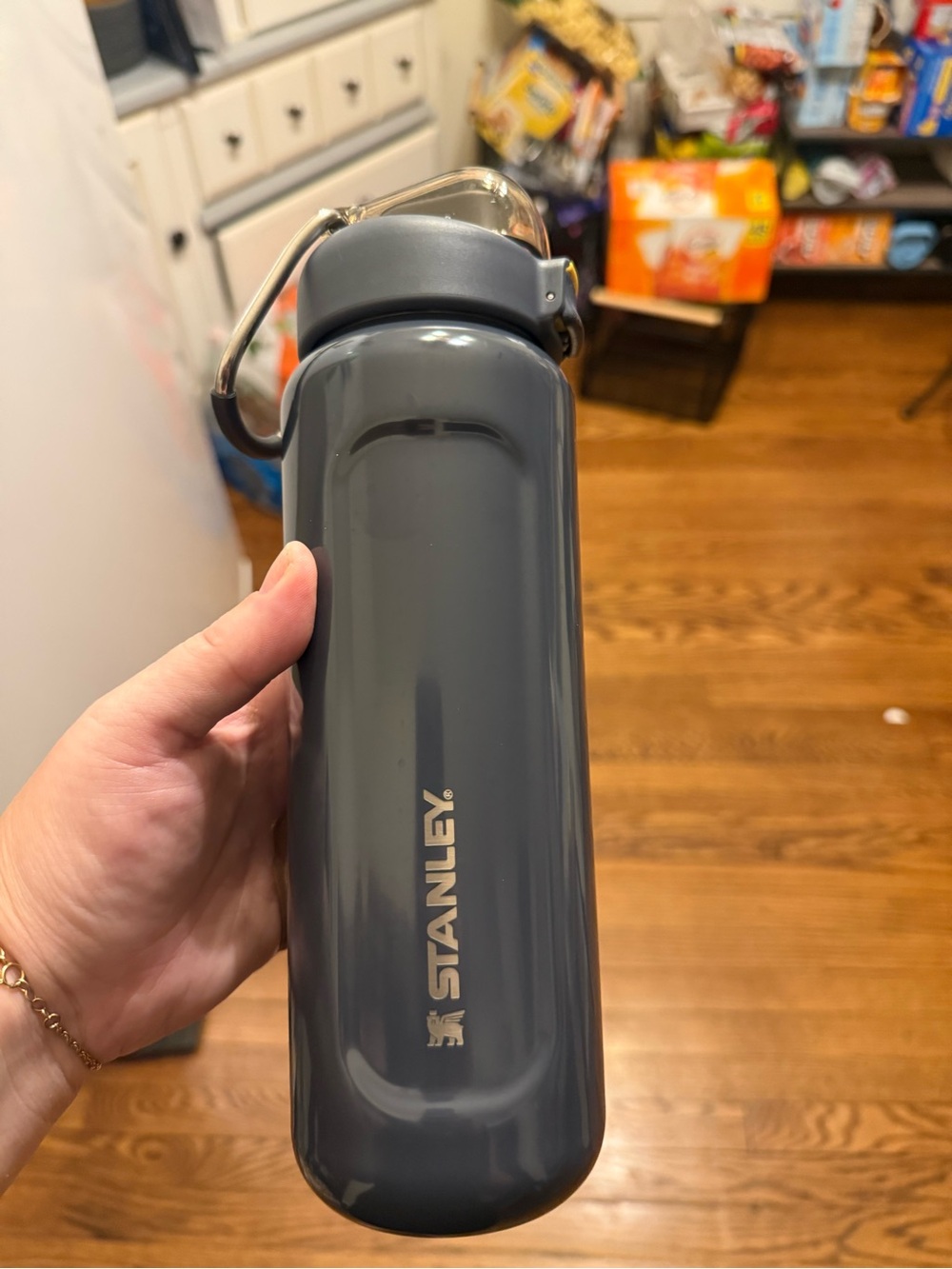 Stanley Wellspring bottle